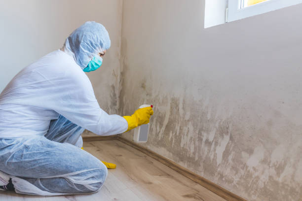 Bathroom Mold Removal assessment in Greenville bathroom