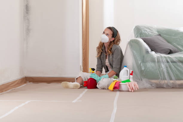 Mold Removal service in Greenville